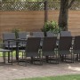 Conjunto de Comedor de Jardín 15 pcs Negro Acero