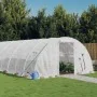 Greenhouse with white steel structure 24 m² 6x4x2 m by vidaXL, Greenhouses - Ref: Foro24-3188073, Price: 276,63 €, Discount: %