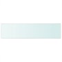 Estantes 2 unidades panel de vidrio transparente 100x25 cm de vidaXL, Estantes y estanterías - Ref: Foro24-3051585, Precio: 5...