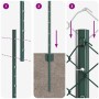 Reja con postes Verde 1.6 x 10 m Acero