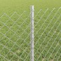 Reja con postes Plateado 0.6 x 10 m Acero