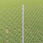 Reja con postes Plateado 1 x 10 m Acero