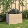 Betten aus massivem Zirbenholz 3 Einheiten 60x80 cm von vidaXL, Töpfe und Pflanzgefäße - Ref: Foro24-3055161, Preis: 139,60 €...