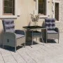 Muebles de jardín 3 piezas ratán sintético y vidrio gris de vidaXL, Conjuntos de jardín - Ref: Foro24-3058522, Precio: 415,94...