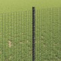 Reja con postes Gris 1 x 50 m Acero