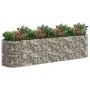 Gabionenbett aus verzinktem Eisen, 400 x 100 x 100 cm von vidaXL, Töpfe und Pflanzgefäße - Ref: Foro24-152047, Preis: 203,47 ...