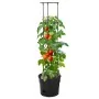 Anthracite polypropylene tomato planter Ø29.5x115 cm by vidaXL, Pots and planters - Ref: Foro24-152209, Price: 34,40 €, Disco...