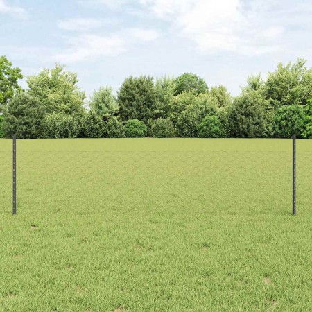 Reja con postes Gris 0.5 x 10 m Acero