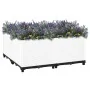 Blumenbeet aus Polypropylen 80x80x38 cm von vidaXL, Töpfe und Pflanzgefäße - Ref: Foro24-153318, Preis: 68,18 €, Rabatt: %