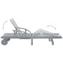 Tumbona de jardín con cojín madera maciza de acacia de vidaXL, Tumbonas - Ref: Foro24-3061336, Precio: 206,66 €, Descuento: %