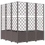 Planter with brown PP trellis 120x120x136 cm by vidaXL, Pots and planters - Ref: Foro24-318267, Price: 212,08 €, Discount: %