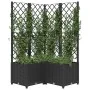Planter with black PP trellis 80x80x136 cm by vidaXL, Pots and planters - Ref: Foro24-318275, Price: 141,55 €, Discount: %