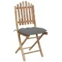 Faltbare Gartenstühle mit Kissen, 2 Stück, Bambus von vidaXL, Gartenstühle - Ref: Foro24-3064003, Preis: 110,55 €, Rabatt: %