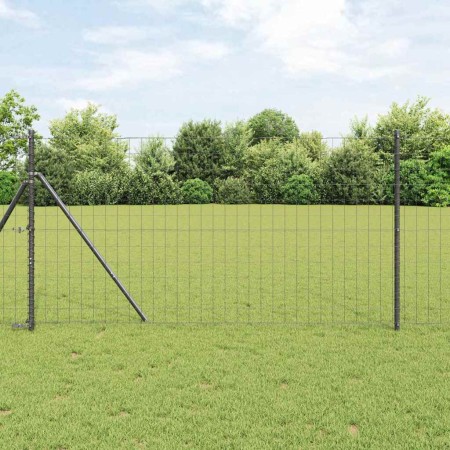 Reja con postes Gris 1 x 10 m Acero