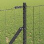Reja con postes Gris 1 x 10 m Acero