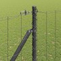 Reja con postes Gris 1.6 x 10 m Acero