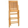 Klappbare Gartenstühle, 2 Stück, massives Teakholz, 47 x 62 x 90 cm von vidaXL, Gartenstühle - Ref: Foro24-362761, Preis: 156...