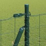 Reja con postes Verde 1.6 x 10 m Acero