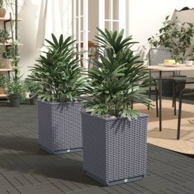 Planters 2 pcs dark gray polypropylene 30x30x37 cm by vidaXL, Pots and planters - Ref: Foro24-364180, Price: 53,75 €, Discoun...