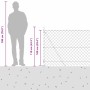 Valla de eslabones de cadena con postes Verde 1 x 10 m Acero