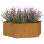 Pflanzgefäß aus rostigem Cortenstahl, 138 x 120 x 45 cm von vidaXL, Töpfe und Pflanzgefäße - Ref: Foro24-823677, Preis: 81,19...