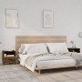 Nachttisch 2 Stück geräuchertes Eichensperrholz von vidaXL, Nachttische - Ref: Foro24-817304, Preis: 69,61 €, Rabatt: %
