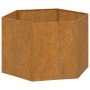 Pflanzgefäß aus rostigem Cortenstahl, 60 x 60 x 45 cm von vidaXL, Töpfe und Pflanzgefäße - Ref: Foro24-823675, Preis: 62,70 €...