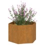 Pflanzgefäß aus rostigem Cortenstahl, 60 x 60 x 45 cm von vidaXL, Töpfe und Pflanzgefäße - Ref: Foro24-823675, Preis: 62,70 €...
