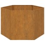 Jardinera de acero corten oxidado 60x60x45 cm de vidaXL, Maceteros y jardineras - Ref: Foro24-823675, Precio: 63,08 €, Descue...