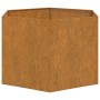 Jardinera de acero corten oxidado 60x60x45 cm de vidaXL, Maceteros y jardineras - Ref: Foro24-823675, Precio: 63,08 €, Descue...