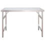 Küchenarbeitstisch mit Edelstahlablage 120x60x115cm von vidaXL, Wiederherstellung - Ref: Foro24-3155991, Preis: 264,48 €, Rab...
