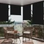 Schwarze Balkon-Seitenmarkise 122x250 cm von vidaXL, Sonnenschirme - Ref: Foro24-317844, Preis: 72,59 €, Rabatt: %