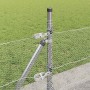 Reja con postes Plateado 0.6 x 10 m Acero recubierto de PVC