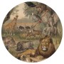 WallArt Papel pintado de pared redondo Animals of Africa 142,5