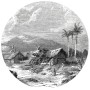 WallArt Círculo de papel pintado Landscape of Guadeloupe 190 cm de WallArt, Papel pintado - Ref: Foro24-440369, Precio: 25,81...