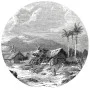 WallArt Landscape of Guadeloupe Wallpaper Circle 190 cm by WallArt, Painted paper - Ref: Foro24-440369, Price: 25,81 €, Disco...