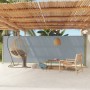 Toldo lateral retráctil de jardín gris 180x600 cm de vidaXL, Sombrillas - Ref: Foro24-317968, Precio: 103,48 €, Descuento: %