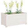 2 solid pine wood planters 60x31x31 cm by vidaXL, Pots and planters - Ref: Foro24-810707, Price: 54,68 €, Discount: %
