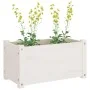 Pflanzgefäße 2 Stück massives Kiefernholz weiß 60x31x31 cm von vidaXL, Töpfe und Pflanzgefäße - Ref: Foro24-810707, Preis: 54...