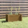 Jardinera de madera maciza de pino marrón miel 60x31x31 cm de vidaXL, Maceteros y jardineras - Ref: Foro24-810710, Precio: 42...
