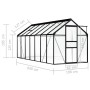 Invernadero de aluminio gris antracita 8,17 m²