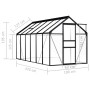 Anthrazitgraues Aluminium-Gewächshaus 7,03 m² von vidaXL, Gewächshäuser - Ref: Foro24-48212, Preis: 496,90 €, Rabatt: %