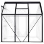 Anthrazitgraues Aluminium-Gewächshaus 3,61 m² von vidaXL, Gewächshäuser - Ref: Foro24-48209, Preis: 303,44 €, Rabatt: %