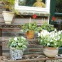 Esschert Design Rectangular plant stand BPH33 by Esschert Design, Pot stands - Ref: Foro24-404601, Price: 149,01 €, Discount: %
