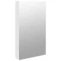 Wall-mounted mirror with jewelry cabinet and LED lights in white by vidaXL, Mirrors - Ref: Foro24-353238, Price: 67,46 €, Dis...