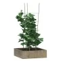 Garden plant supports with 4 rings 5 pcs green steel 90 cm by vidaXL, Trellises and plant supports - Ref: Foro24-319375, Pric...