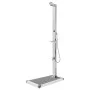 Garden shower with gray base 225 cm stainless steel by vidaXL, Pool and spa accessories - Ref: Foro24-3070782, Price: 278,30 ...
