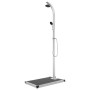 Gartendusche mit grauem Sockel 220 cm aus Aluminium von vidaXL, Pool- und Spa-Zubehör - Ref: Foro24-3070786, Preis: 267,77 €,...