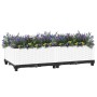 Blumenbeet aus Polypropylen 80x40x23 cm von vidaXL, Töpfe und Pflanzgefäße - Ref: Foro24-153305, Preis: 46,36 €, Rabatt: %
