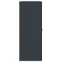 Armario archivador de acero gris antracita 90x40x105 cm